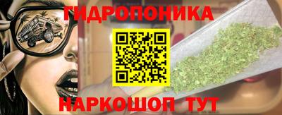 ГАЛЛЮЦИНОГЕННЫЕ ГРИБЫ Чебаркуль