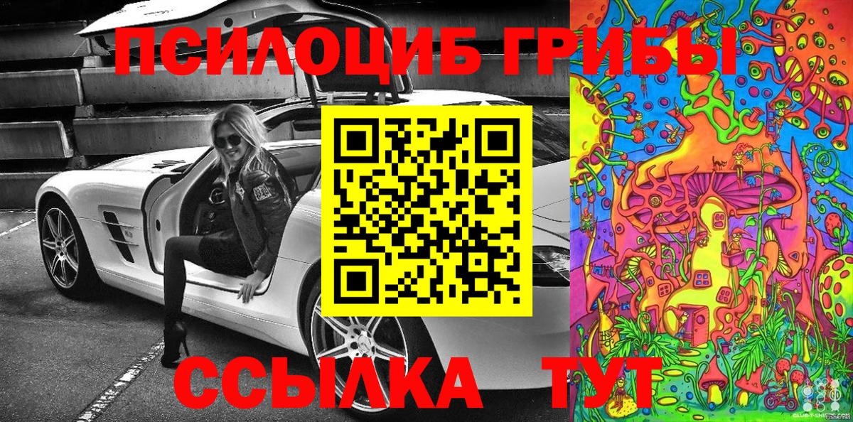 Псилоцибиновые грибы Psilocybe Тосно