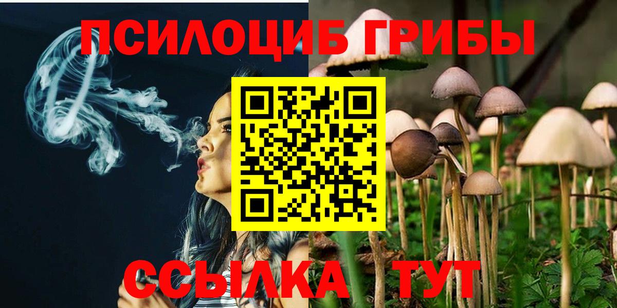 Галлюциногенные грибы Psilocybine cubensis  Вход с VPN  Галлюциногенные грибы мицелий  сколько стоит  Тосно 